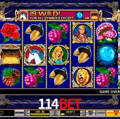 Platform Technology 114bet